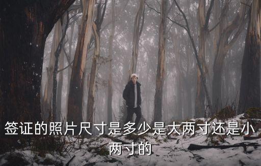 簽證照片是幾寸的，赴日簽證的照片尺寸要求是什么