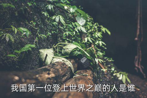 我國第一位登上世界之巔的人是誰