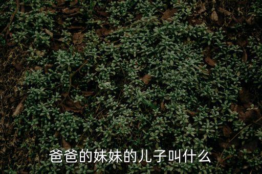 爸爸的妹妹的兒子，我媽媽的爸爸的妹妹的兒子在輩分中怎么稱呼
