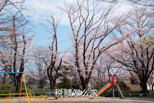 應(yīng)納稅額計(jì)算公式，稅額怎么求