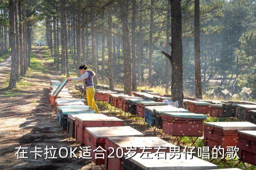 20歲鴨男ktv，在KTV 適合二十歲男孩K的歌推薦幾首 謝謝