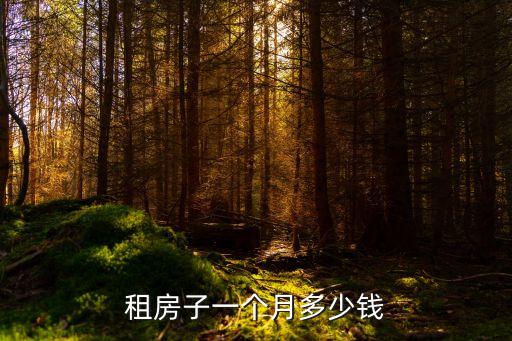 租房子一個月多少錢