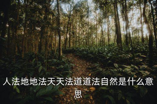 人法地地法天天法道道法自然，是天法地地法人人法道道法自然還是人法地地法