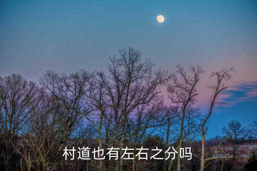 村道，走月亮閱讀短文村道這一段主要講了什么內(nèi)容