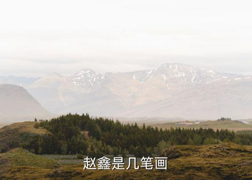 趙鑫，趙鑫是幾筆畫