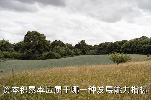 資本積累率應(yīng)屬于哪一種發(fā)展能力指標(biāo)