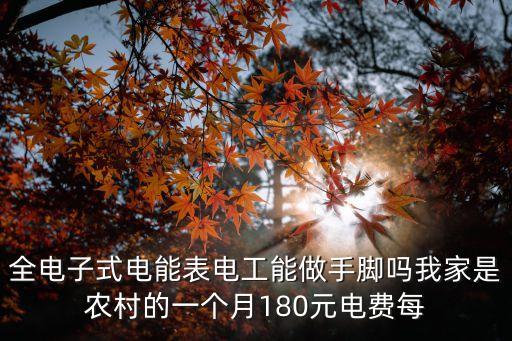 全電子式電能表電工能做手腳嗎我家是農(nóng)村的一個(gè)月180元電費(fèi)每