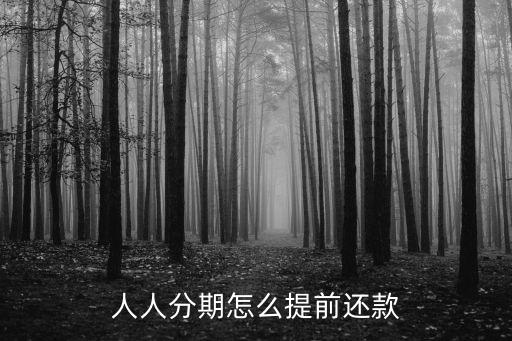 人人分期，人人分期 可以在最后還款日 當(dāng)日還款嗎