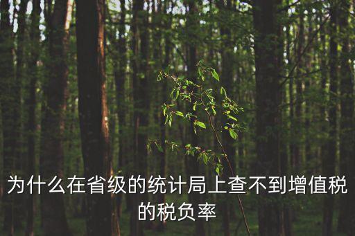 為什么在省級的統(tǒng)計(jì)局上查不到增值稅的稅負(fù)率