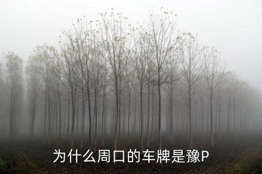 周口車牌，為什么周口的車牌是豫P