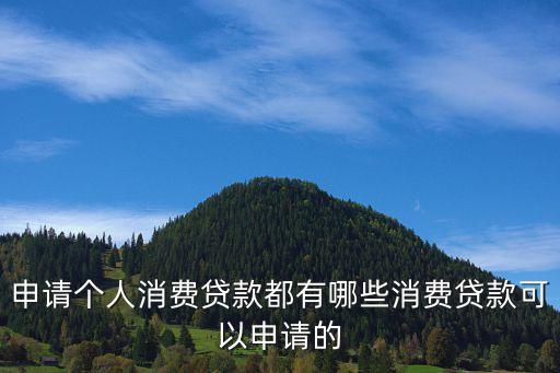 個人消費貸款，個人消費貸款有哪些種類呢