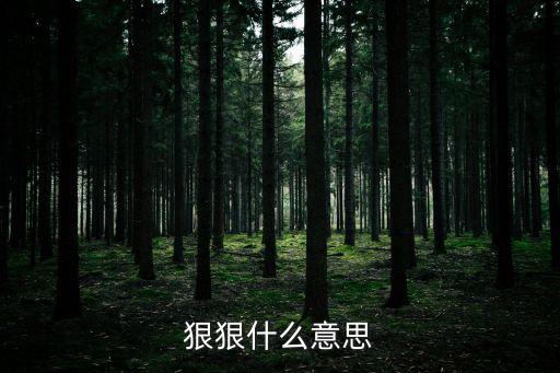 狠狠什么意思