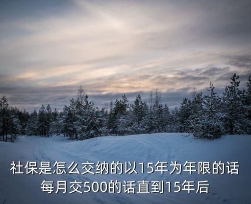 社保是怎么交納的以15年為年限的話每月交500的話直到15年后
