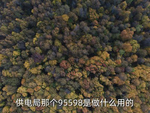 供電局那個(gè)95598是做什么用的