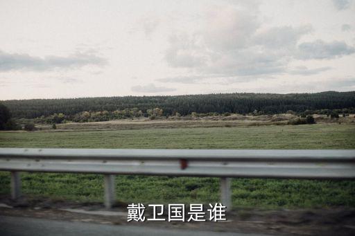 戴衛(wèi)國(guó)是誰(shuí)