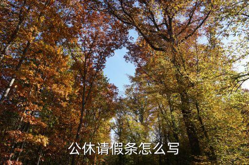 公休假條，公休請(qǐng)假條怎么寫