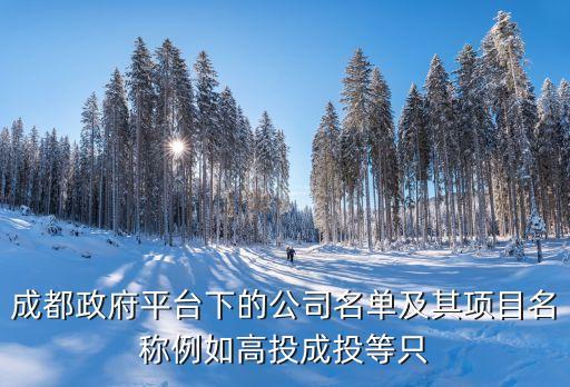 政府平臺公司，政府平臺公司是否可以購買理財產(chǎn)品獲得收益