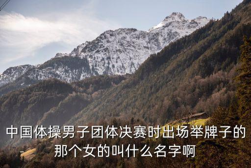 中國(guó)體操男子團(tuán)體決賽時(shí)出場(chǎng)舉牌子的那個(gè)女的叫什么名字啊