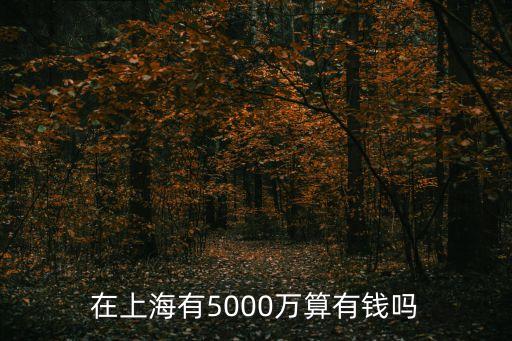 在上海有5000萬算有錢嗎