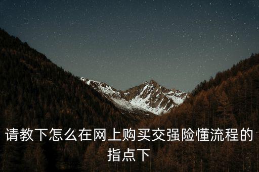 請教下怎么在網(wǎng)上購買交強險懂流程的指點下