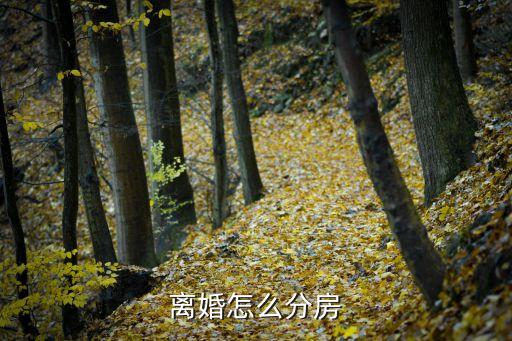 離婚怎么分房