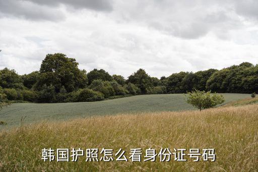 韓國身份證，韓國人身份證怎么組成