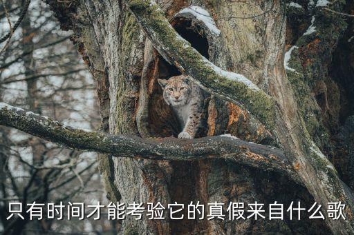 只有時間才能考驗它的真假來自什么歌