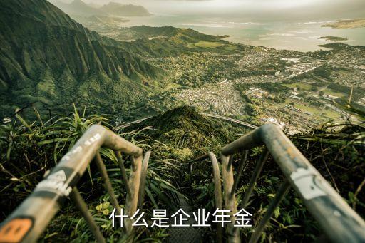 企業(yè)年金制度，甚么叫企業(yè)年金