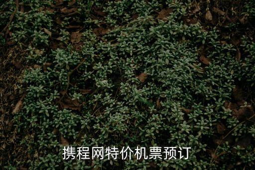 攜程網(wǎng)特價(jià)機(jī)票預(yù)訂