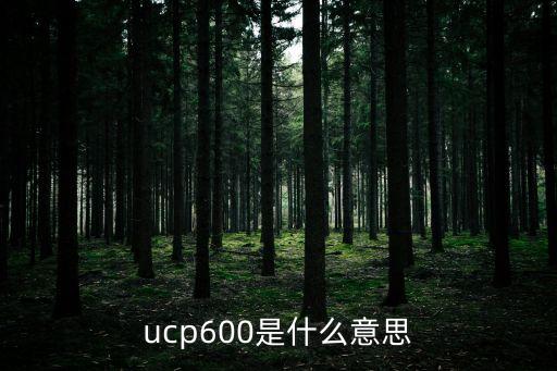 ucp600，信用證UCP600