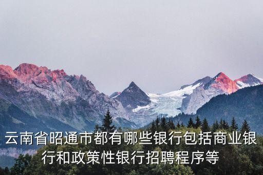 都有什么銀行，云南省昭通市都有哪些銀行包括商業(yè)銀行和政策性銀行招聘程序等