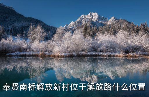 奉賢南橋解放新村位于解放路什么位置