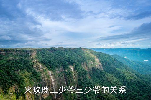 火玫瑰二少爺三少爺?shù)年P(guān)系