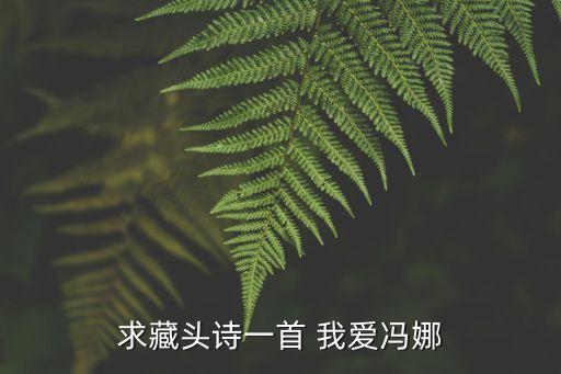 馮娜，求生日的藏頭詩馮娜生日快樂