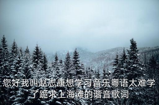 趙志康，誰(shuí)幫我設(shè)計(jì)簽名呢我名字趙志康