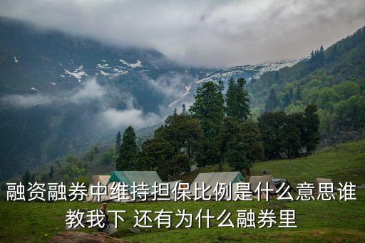 維持擔(dān)保比例，維持擔(dān)保比例的介紹