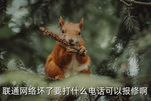 聯(lián)通寬帶維修，聯(lián)通網(wǎng)絡(luò)壞了要打什么電話可以報(bào)修啊