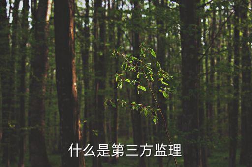 什么是第三方監(jiān)理