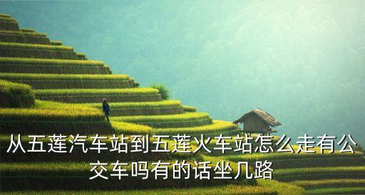 呂公堂，黃安呂公堂神樹 開光大典