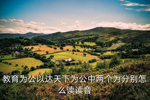 教育為公以達(dá)天下為公中兩個(gè)為分別怎么讀讀音