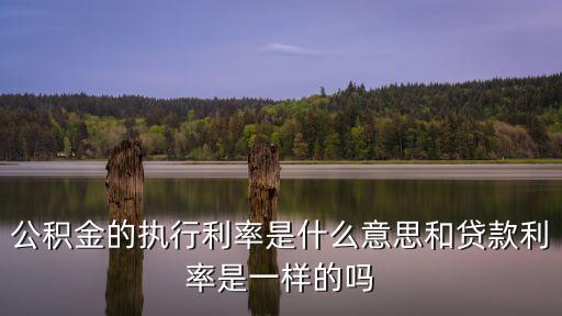 執(zhí)行利率是什么，銀行執(zhí)行利率是什么
