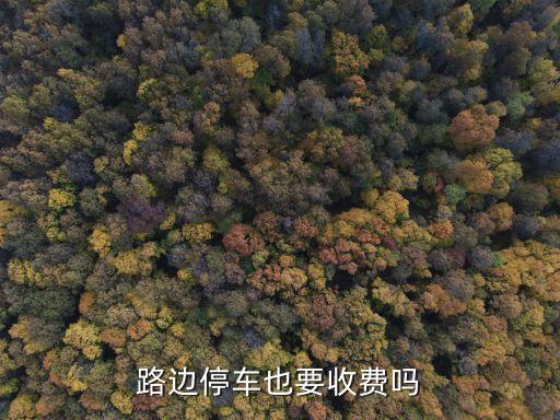 路邊停車(chē)收費(fèi)，路邊停車(chē)也要收費(fèi)嗎