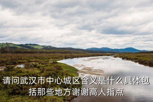 請(qǐng)問武漢市中心城區(qū)含義是什么具體包括那些地方謝謝高人指點(diǎn)