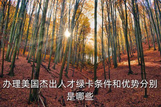 美國杰出人才綠卡，美國杰出人才綠卡的簡介