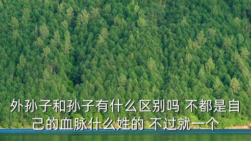 外孫子和孫子有什么區(qū)別嗎 不都是自己的血脈什么姓的 不過就一個