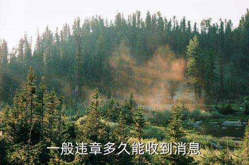 一般違章多久能收到消息