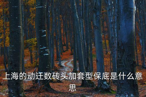 上海的動(dòng)遷數(shù)磚頭加套型保底是什么意思
