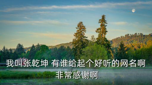 張乾坤，軒轅傳奇張乾坤怎么找不到派發(fā)獎勵的那個我尋路過去可那沒人