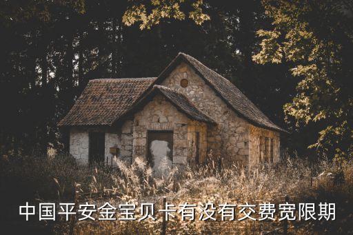 平安信用卡寬限期，中國(guó)平安金寶貝卡有沒(méi)有交費(fèi)寬限期