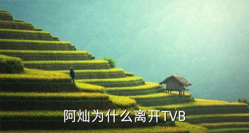 阿燦為什么離開TVB